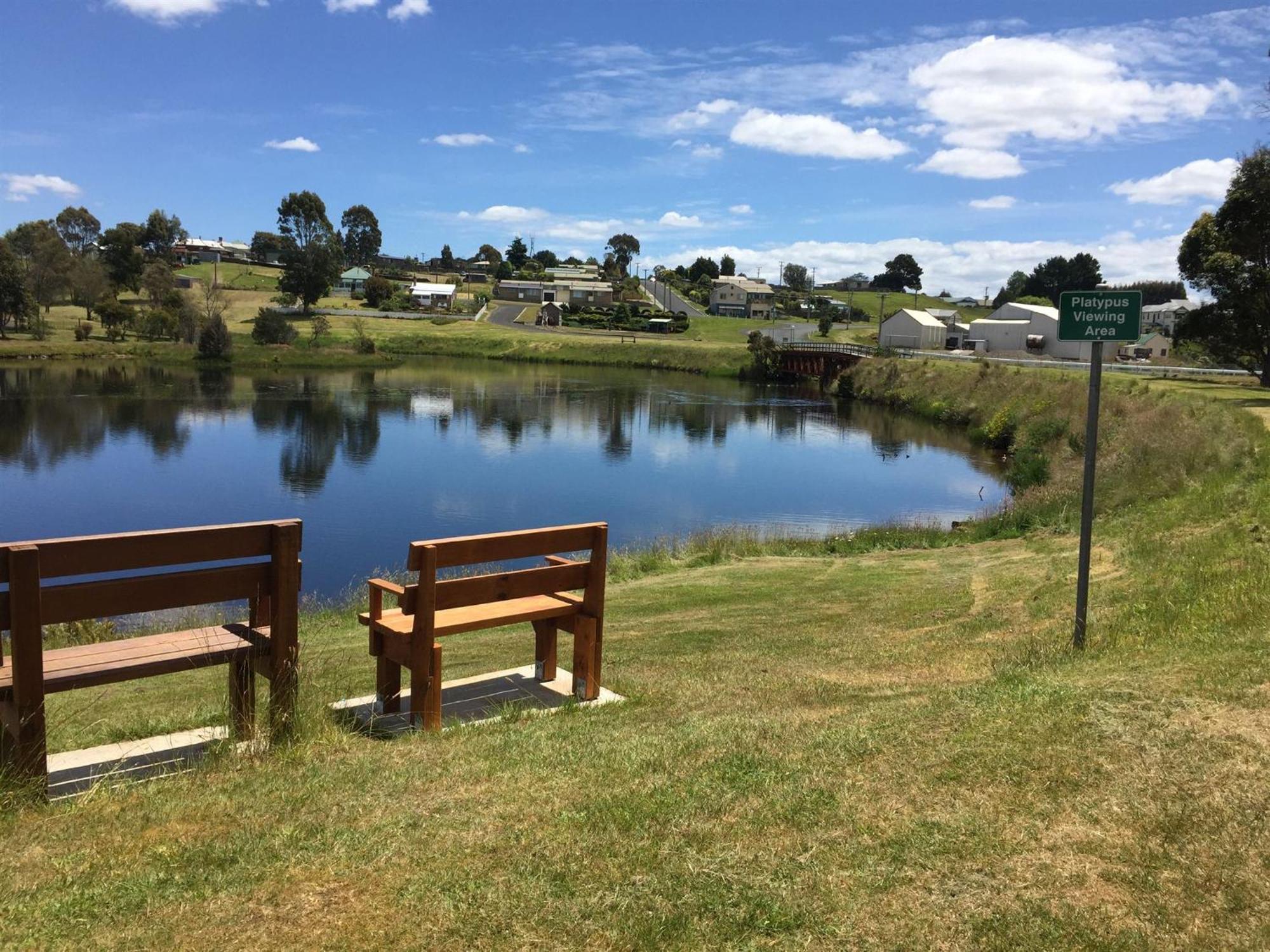 Waratah Waterfall Retreat Unit 1 Free Pay Tv In Two Rooms Free Wifi מראה חיצוני תמונה